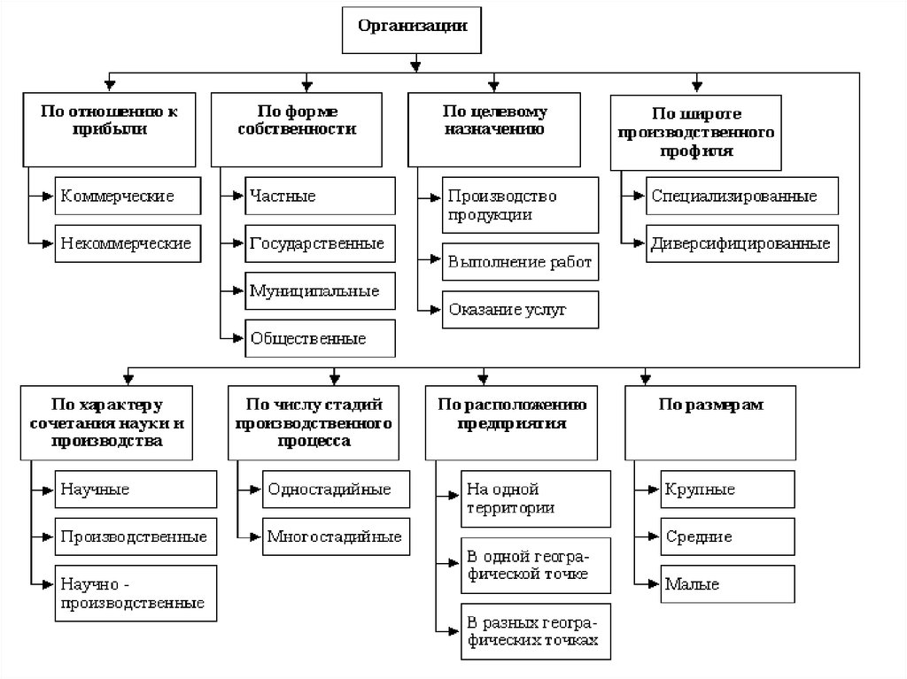 Организацию внутри которой проект осуществляется как временная организация называют