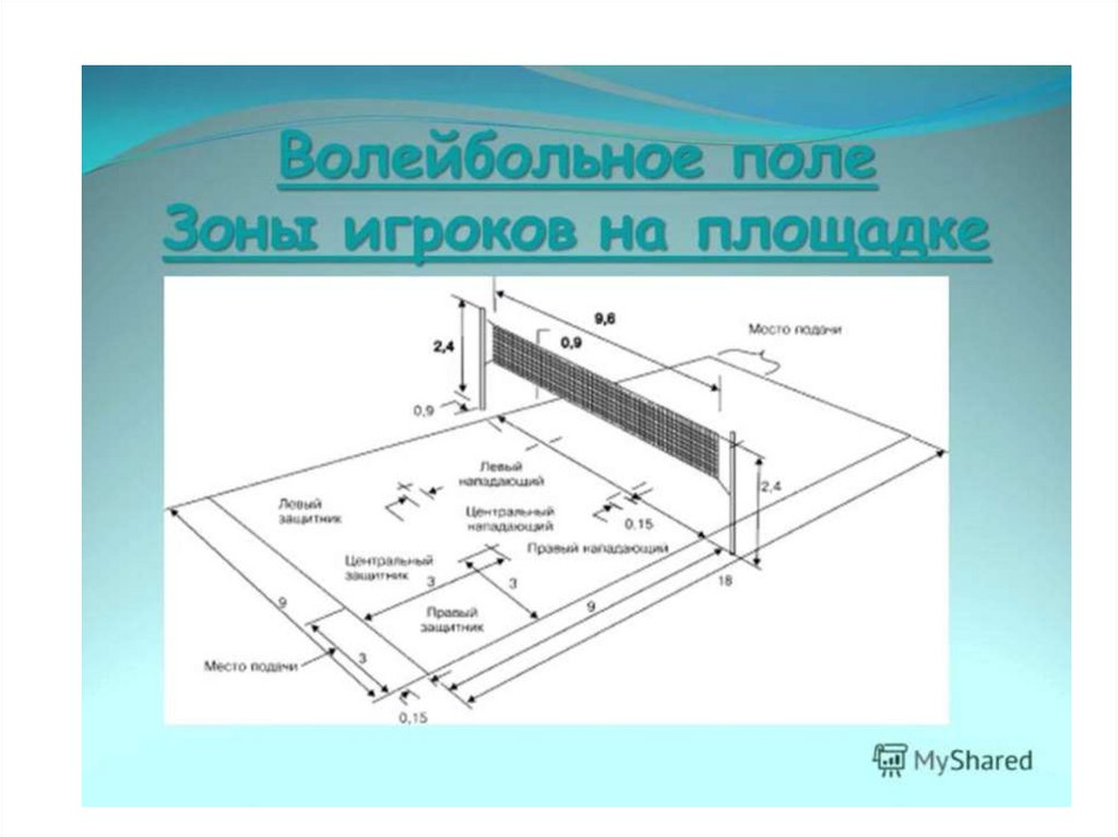 Площадка для пионербола схема с размерами