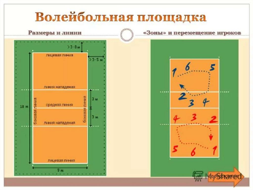 В каком направлении переход в волейболе. Волейбольная площадка схема с зонами. Волейбольная площадка схема и разметка. Как называются линии в волейболе. Как называются линии на волейбольной площадке.