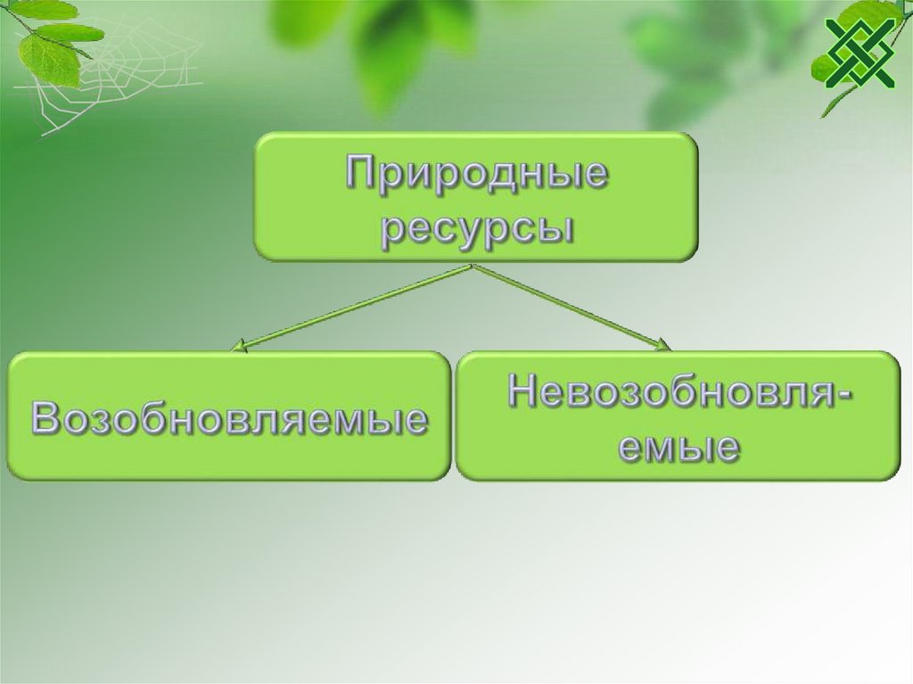 Классификация тип класс. Иглокожие систематика. Тип иглокожие классификация. Систематика иглокожих схема. Тип иглокожие систематика.