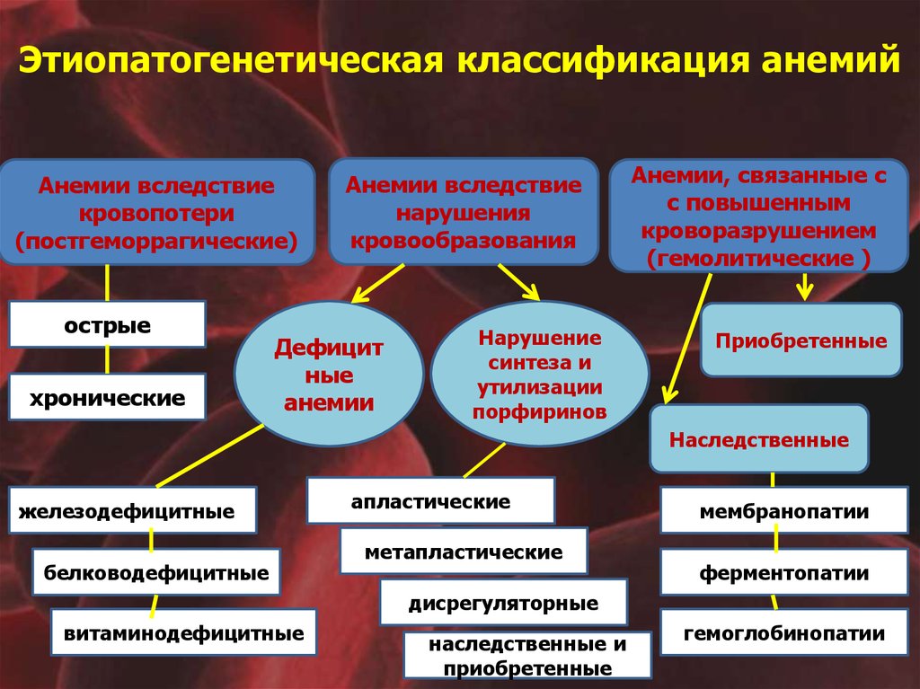 Анемии постгеморрагическая гемолитическая