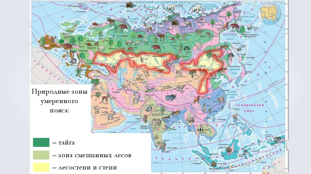 Природные особенности евразии. Карта природных зон Евразии. Природные зоны Евразии атлас. Природные зоны Евразии 7. Разнообразие природы Евразии.