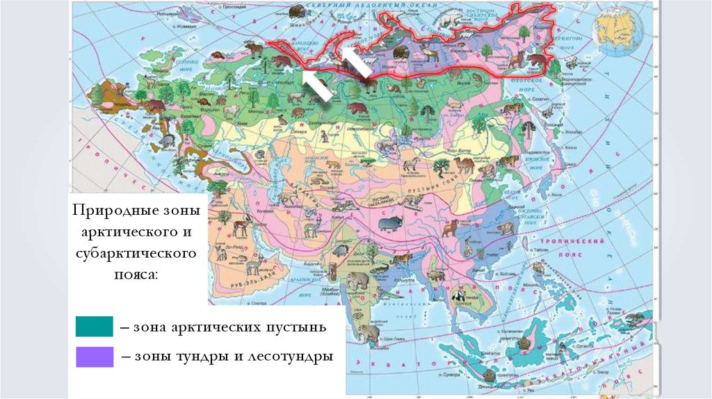 Карта евразии зоны. Карта природных зон Евразии. Субарктического пояса Евразии природная зона. Природные зоны Евразии 7 класс Евразия таблица. Природные зоны Евразии презентация.