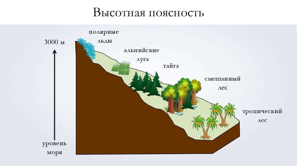 Горные зоны. Высотная поясность горы Гималаи. Высотная поясность нивальный пояс. Зона ВЫСОТНОЙ поясности Евразии. Высотная поясность Евразии.