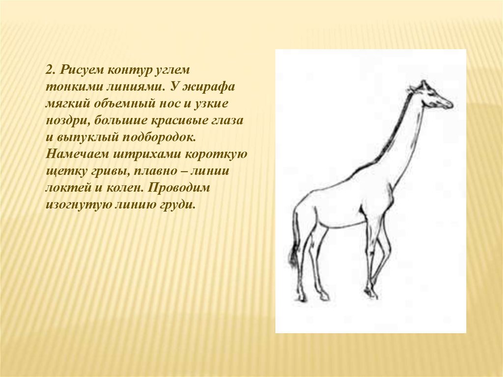 Хвост жирафа рисунок. Как рисовать жирафа. Гумилёв Жираф презентация. Как нарисовать жирафа.