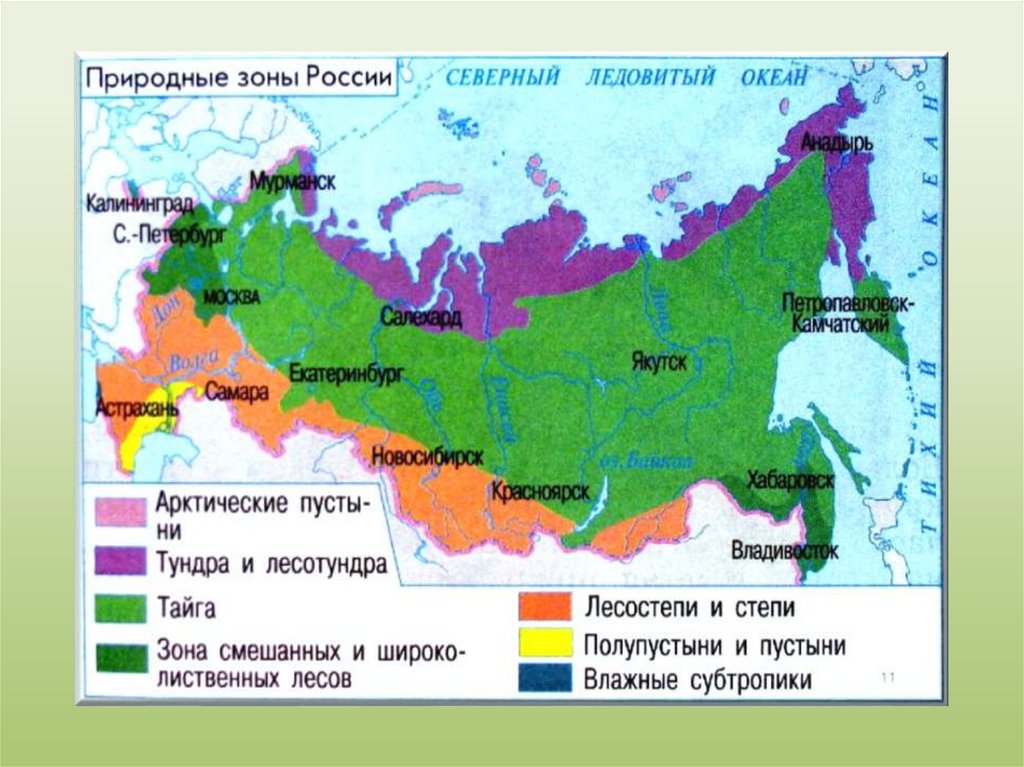 Название района города в котором ты живешь. Карта природных зон России 8кл. Карта природные зоны России 4 класс окружающий мир природные зоны. Карта природных зон России 8 класс география. Карта природных зон России субтропические леса.