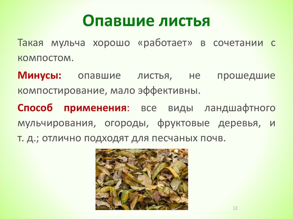 Рецепт опавших листьев