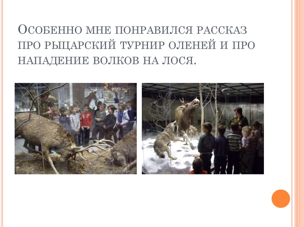 Особенно мне понравился рассказ про рыцарский турнир оленей и про нападение волков на лося.