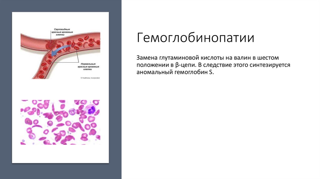 Процессы происходящие на молекулярном уровне жизни