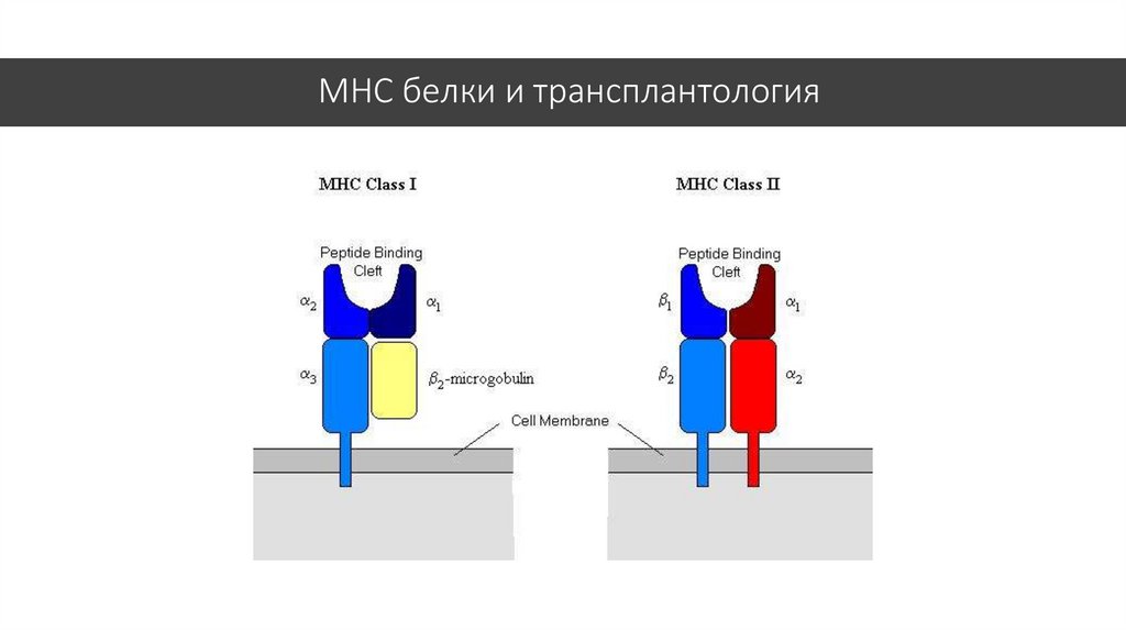 Mhc gt4d схема