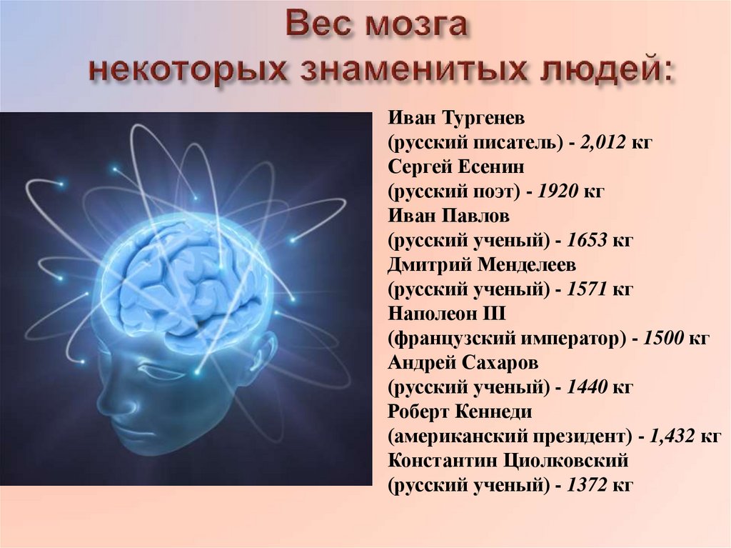 Презентация про мозг человека