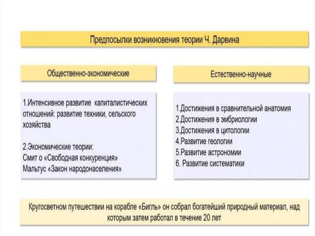 История возникновения и развития метода проектов