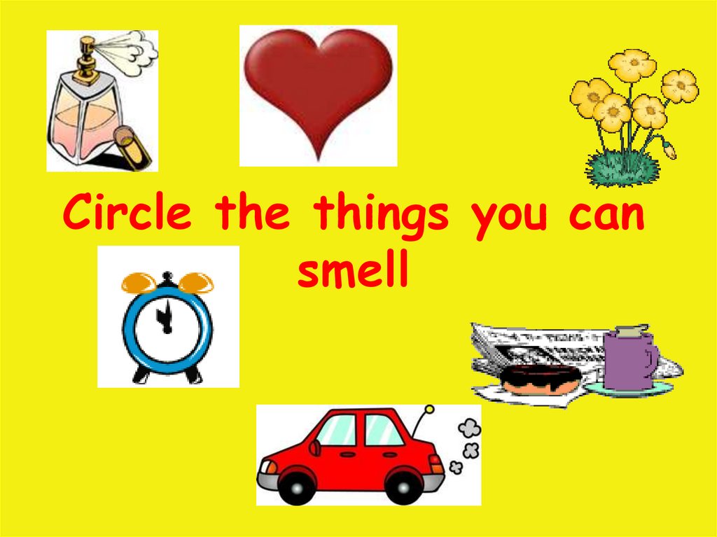 Circle the things you can smell