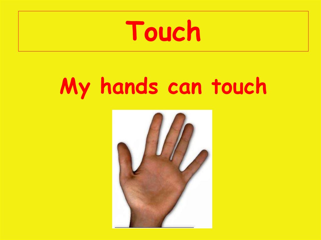 These are my hands. Can Touch. I can Touch with my hands. Картинки sense of Touch. My hands were.