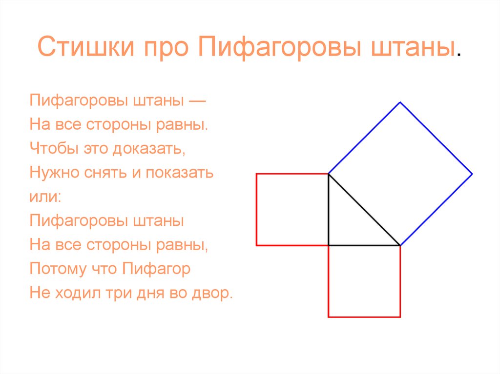 Пифагоровы штаны картинка