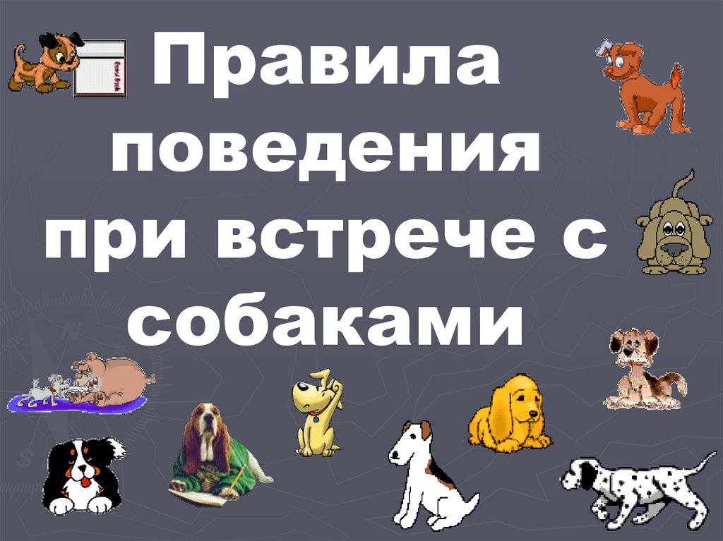 Правила поведения при встрече с собаками - online presentation