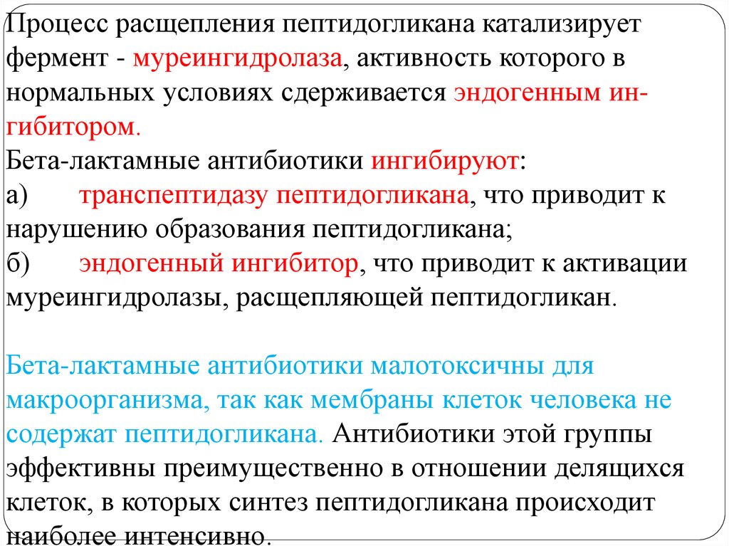 Процесс расщепления. Антибиотики игибируют траспептидазу пептидогликана. Антибиотики нарушающие Синтез пептидогликана. Бета-лактамные антибиотики малотоксичны для макроорганизма,.