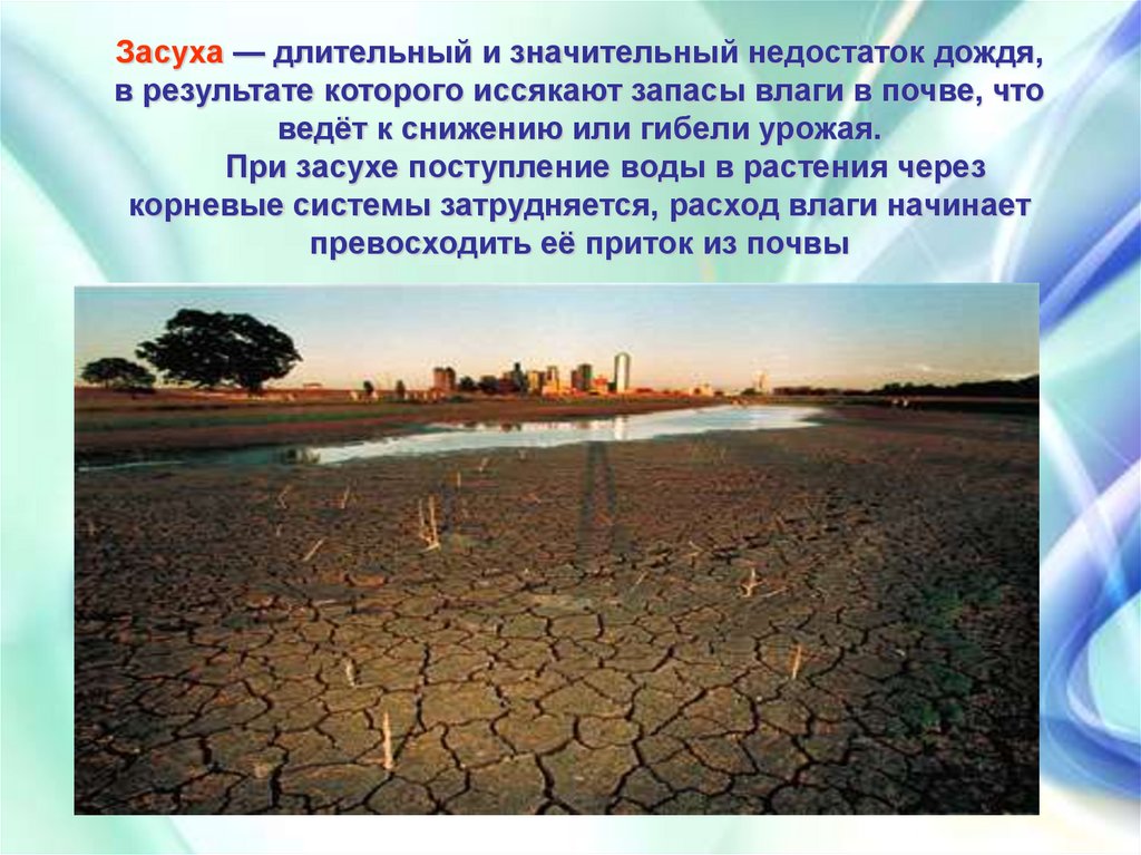 Семья с потеряла по причине засушливого лета. Засуха это определение. Что такое засуха кратко. Причины возникновения засухи. Причины засухи в России.