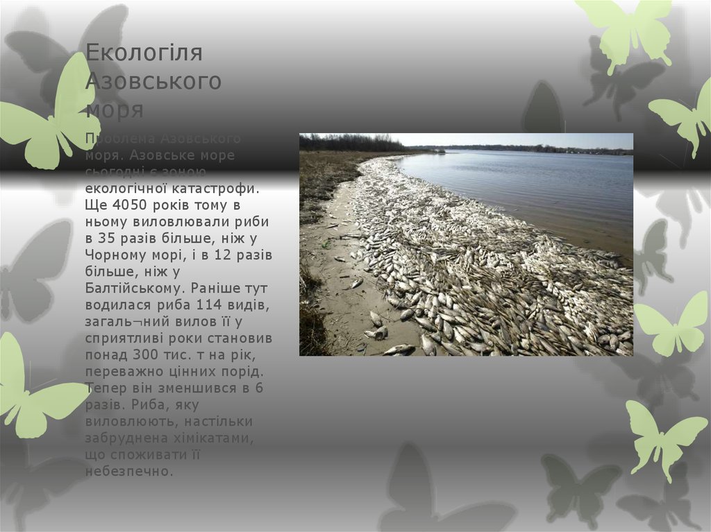 Екологіля Азовського моря