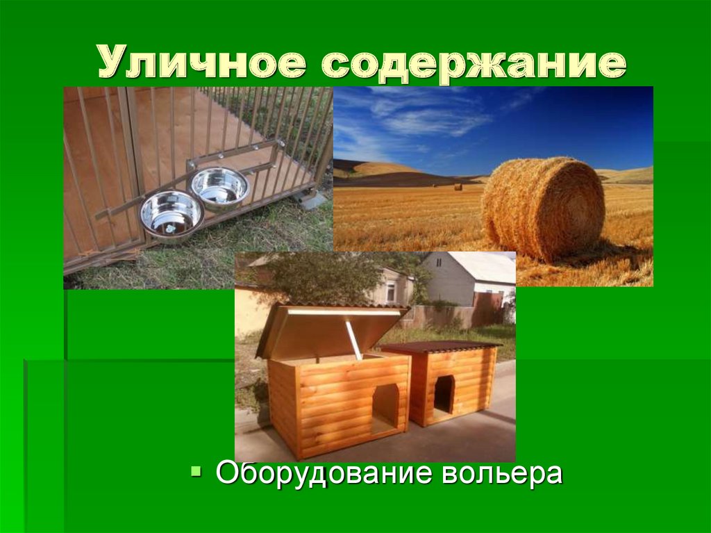 Уличное содержание