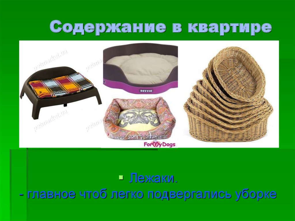 Содержание в квартире