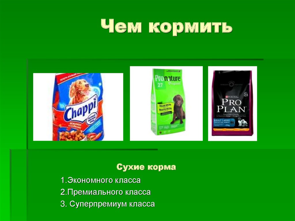 Сухие корма