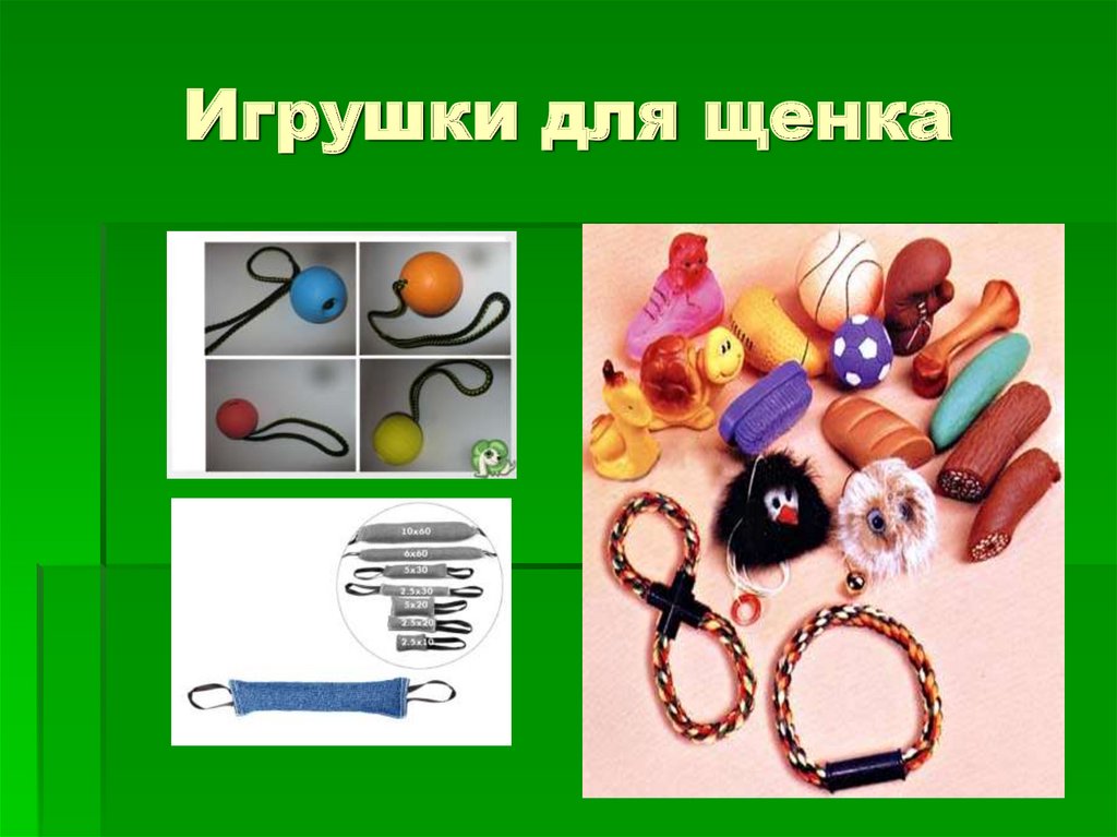 Игрушки для щенка