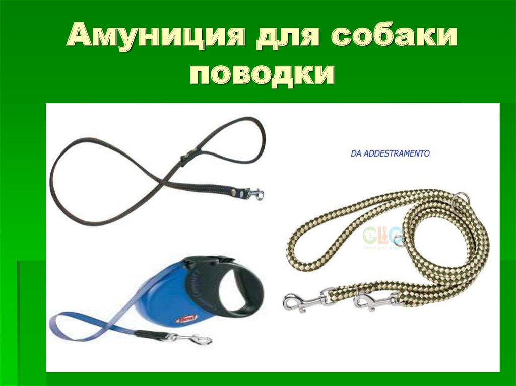 Амуниция для собаки поводки