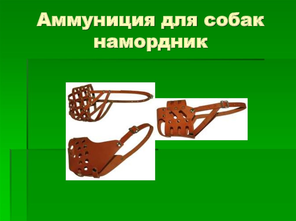Аммуниция для собак намордник