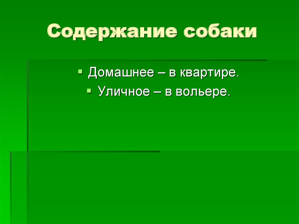 Содержание собаки