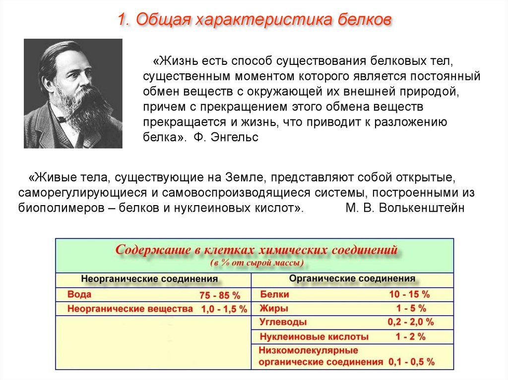 Характеристика белков. Общая характеристика белков. Общащая характеристика белков. Общий белок характеристика. Общая характеристика белка.