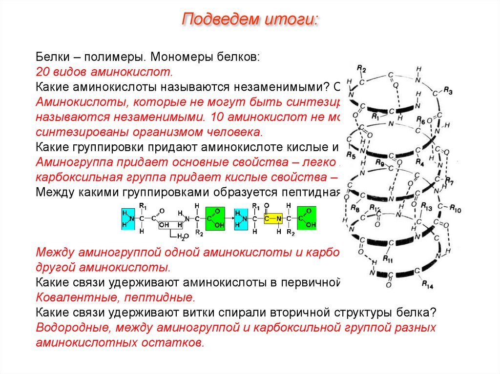 Соединение мономеров белка. Строение мономера белковой структуры.. Белки строение мономера строение полимера. Строение 20 аминокислот белковых. Мономеры вторичной структуры белка.