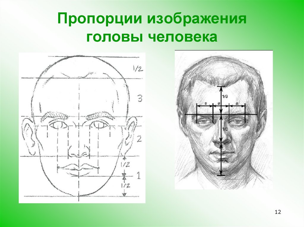 Свет и тень в изображении головы человека изо 6 класс презентация