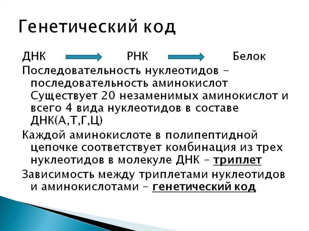 Носителем наследственной информации является. Генетический код. Формирование генетического кода. Генетический ход это в биологии.