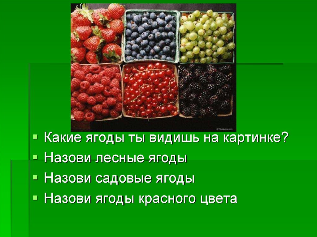 Ягоды презентация для дошкольников с заданиями