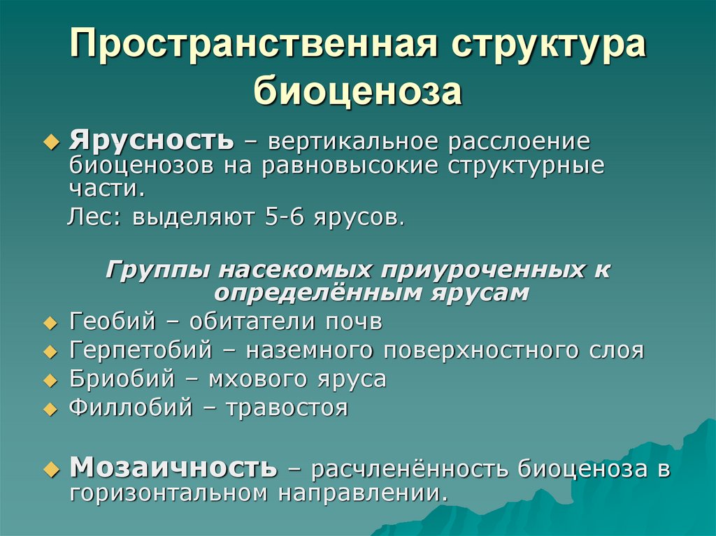 Пространственная структура. Пространственная структура биоценоза. Пространственная структура ярусность. Пространственная структура биоценоза ярусность.