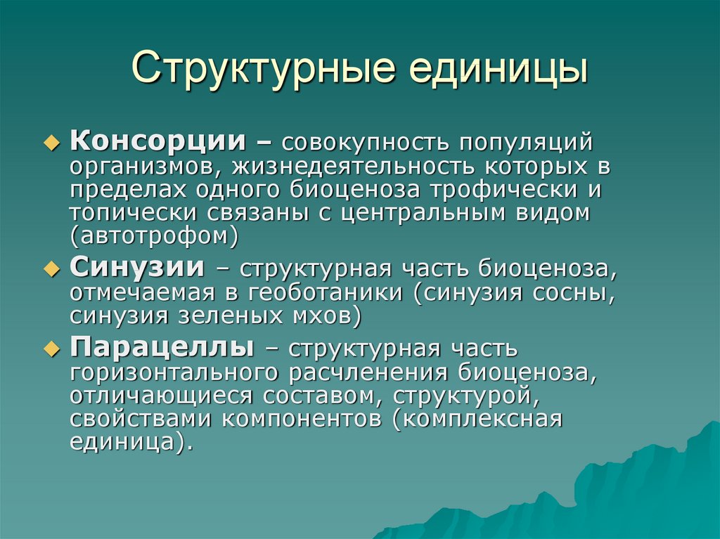 Структурными единицами составляющими вид являются. Структурная единица. Структурные единицы биоценоза. Консорции. Синузия парцелла консорция.