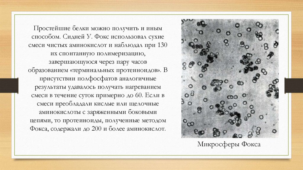 Коацерваты обладали свойствами живого потому что. Микросферы Фокса. Опыт Фокса. Эксперимент Фокса биология. Работы Фокса биология.