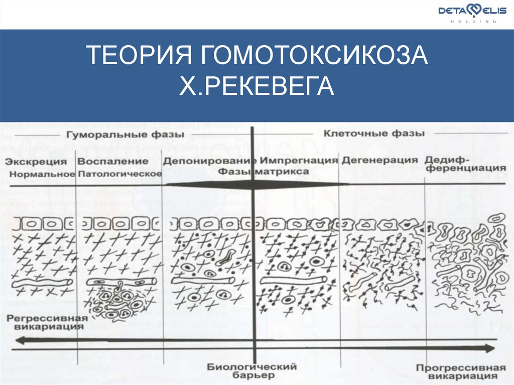 Схема виджейкар острых состояниях