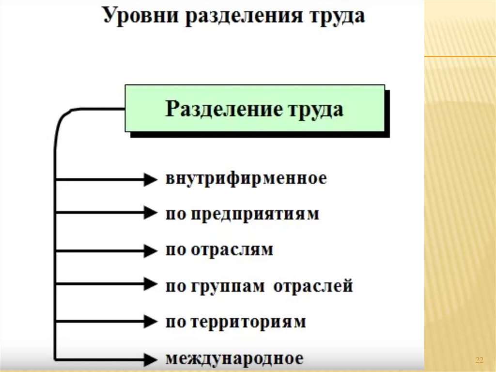 2 разделение труда. Уровни организации труда. 3 Уровня разделения труда. Разделение на уровни. Низкая степень разделения труда.