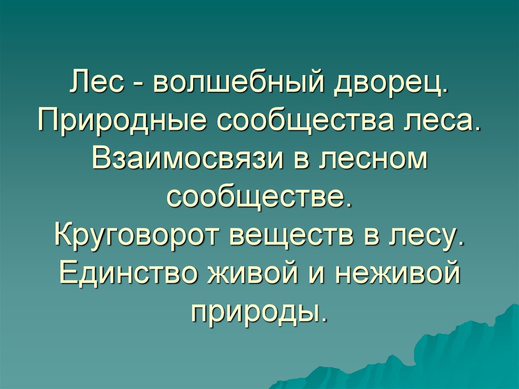 Лес единство живой и неживой природы