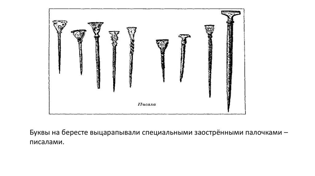 Открытие берестяных грамот картинки