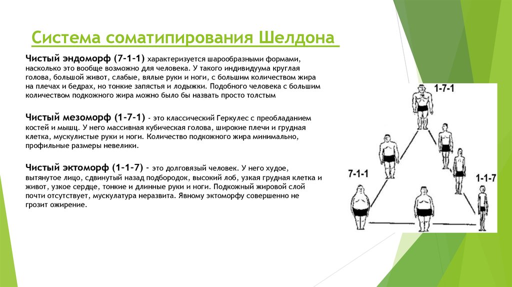 Конституциональные схемы шелдона