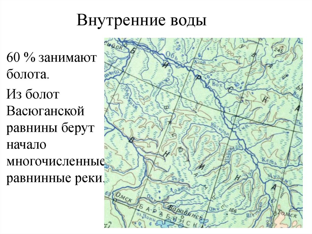 Где находится болотное. Васюганские болота на карте России. Болото Васюганье на карте России. Карта Сибири Васюганское болото. Васюганская равнина на карте.