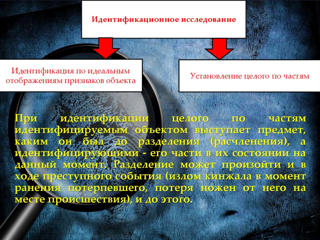 Криминалистические версии презентация