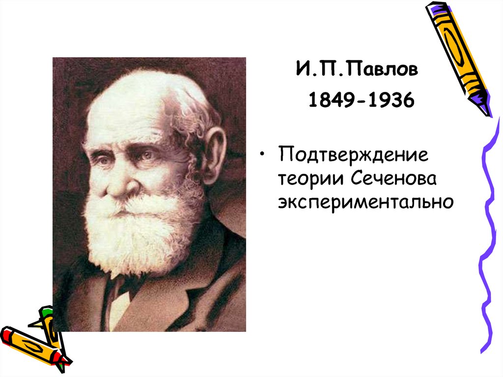 Т п павлова. И П Павлов. И.П. Павлова (1849—1934). И П Павлов подтвердил теорию Сеченова. И П Павлов биография.
