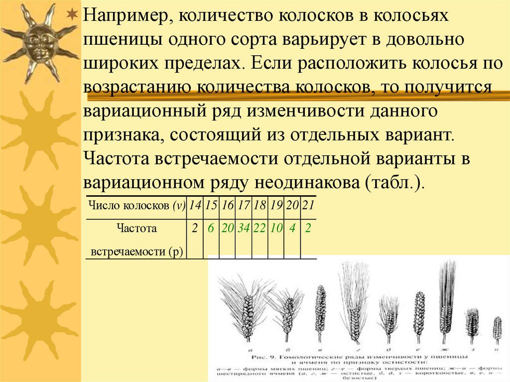 Характеристика изменчивости