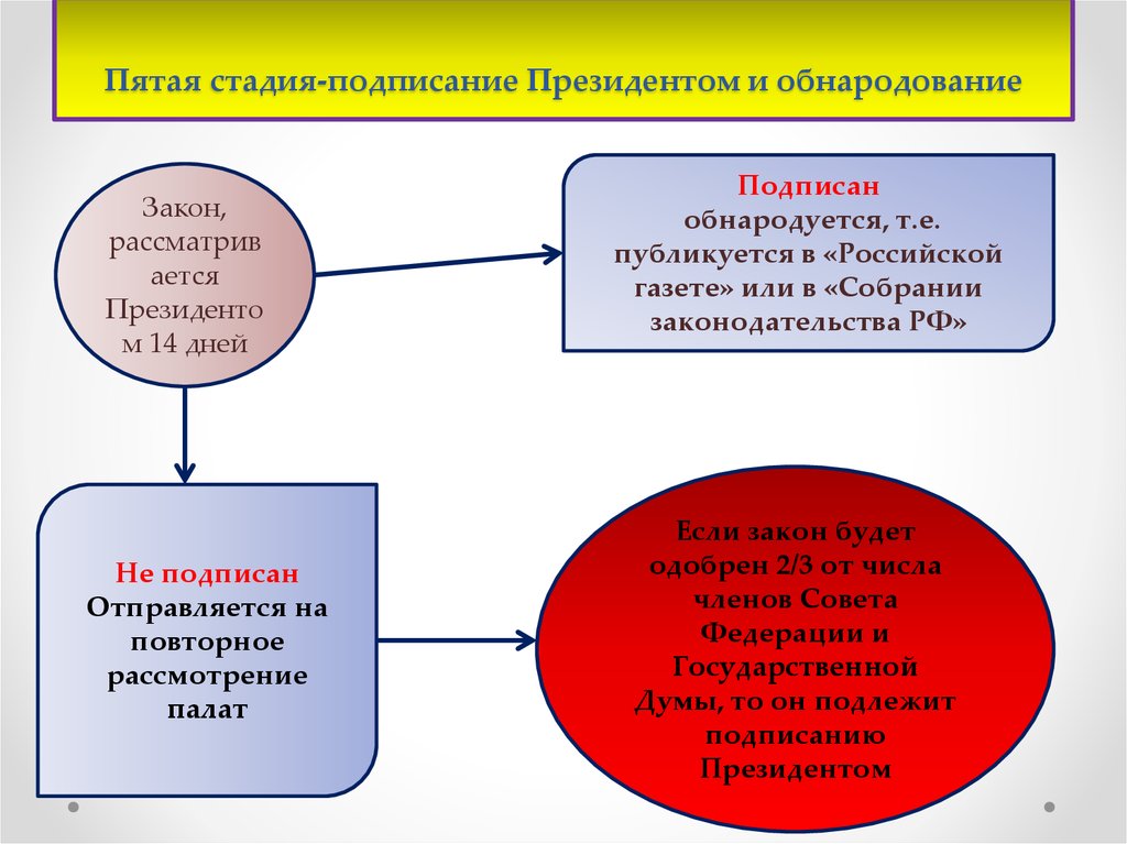 Подписывает и обнародует федеральные законы