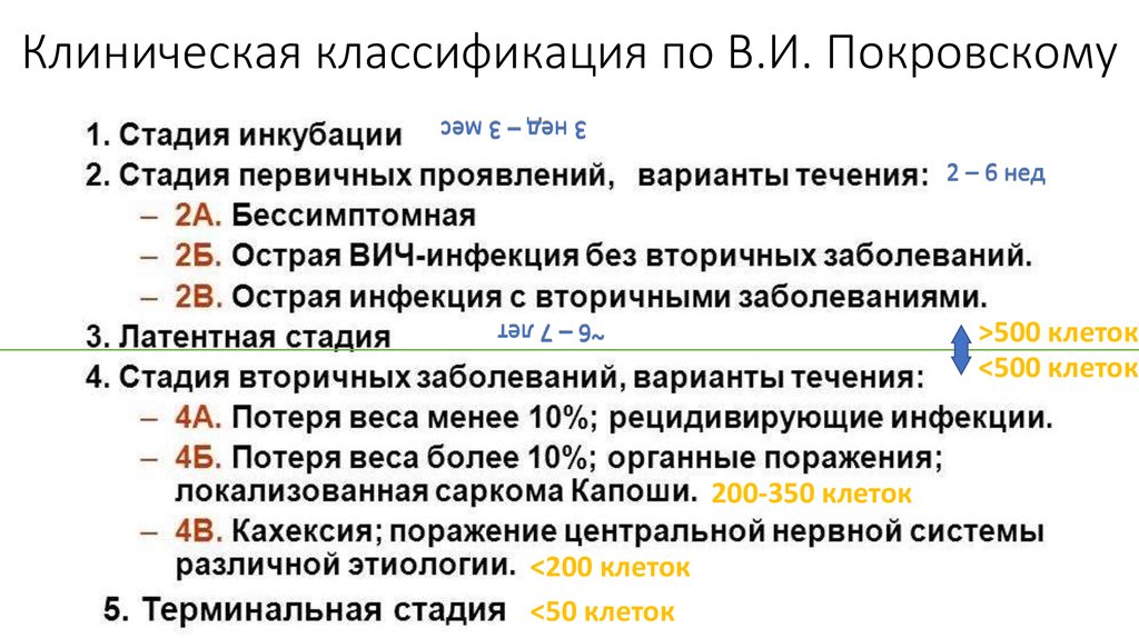 Российская клиническая классификация вич инфекции