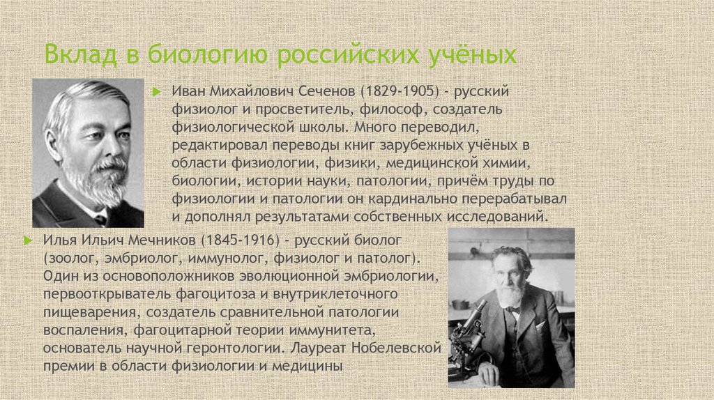 Презентация об ученом внесшим вклад в развитие компьютерных наук 10 класс